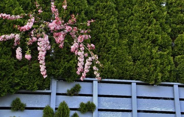 _MG_9912e