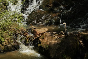 _MG_0856 e