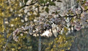 _MG_9640 b
