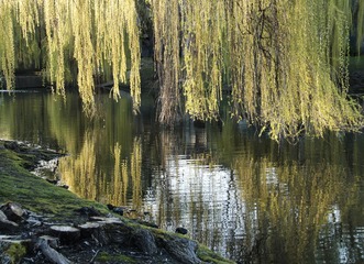_MG_8913 e