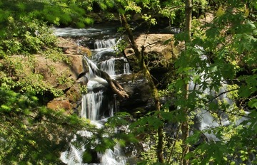 _MG_0807 g