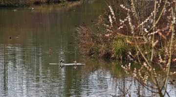 _MG_6197 e