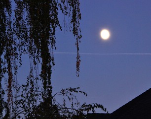 IMG_6477 b