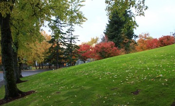 _MG_1212 e
