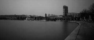 _DSF0139