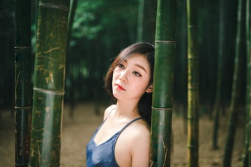 2804315