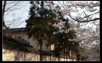 IMGP7233-2.jpg