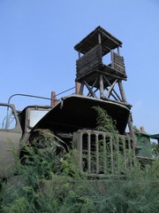 野战营