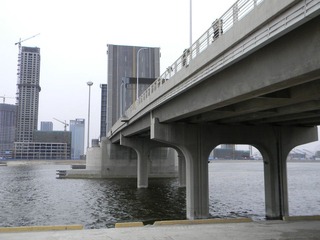 海河大桥7