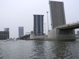 海河大桥9