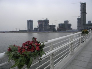 海河大桥m
