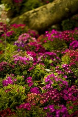 uDi_J_0012