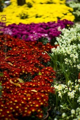 uDi_J_0016
