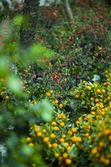 uDi_J_0018