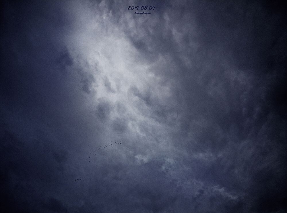 夕雁