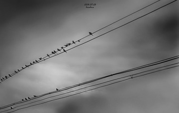 IMG_20140723_180213_RAW-2