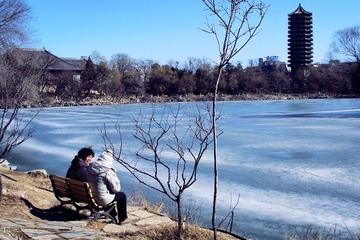 IMG_5013.jpg