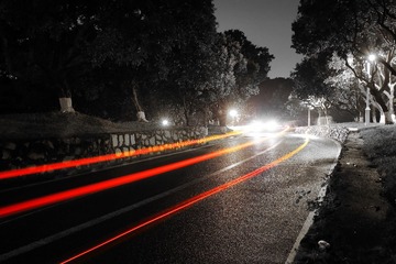IMG_1048.jpg