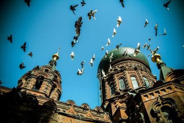 IMG_5744.JPG