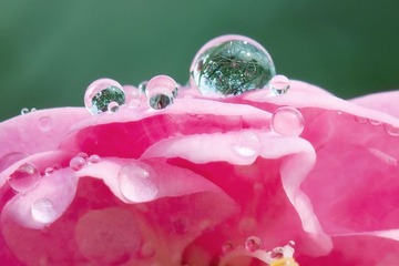 水珠
