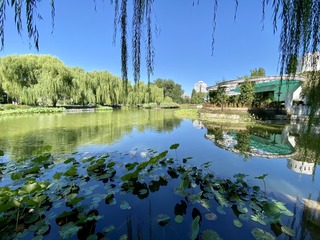 巷