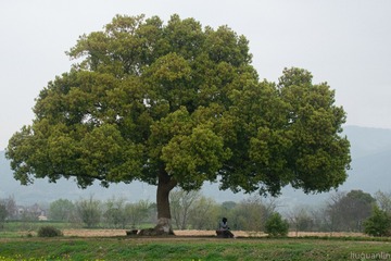 3069061