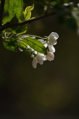1860237