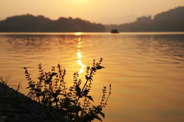 夕阳