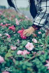LUX_376111 (2)yin