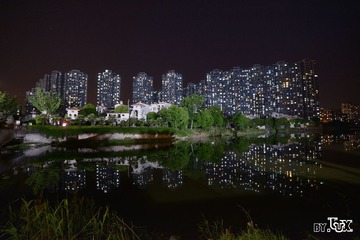 LUX_4962yin