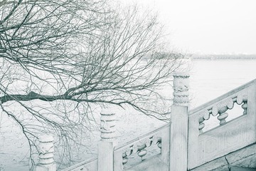 栏杆