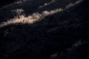 山坡