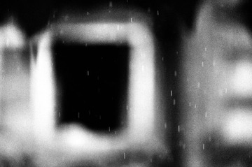 Summer Rain