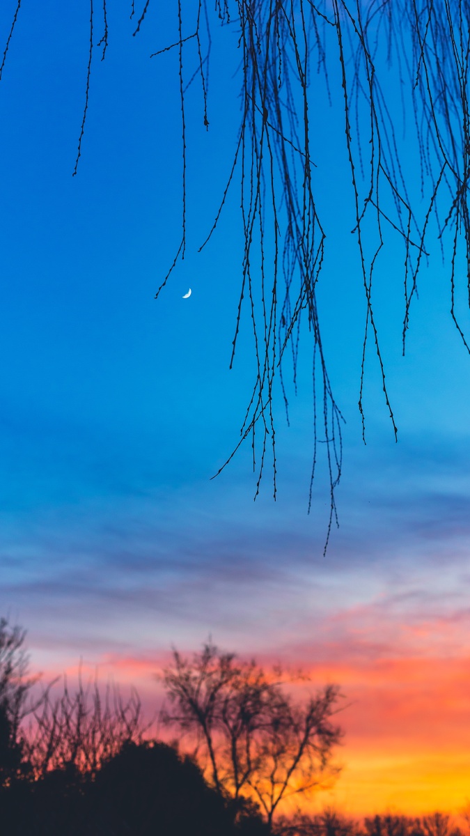 月上柳梢头,人约黄昏后.