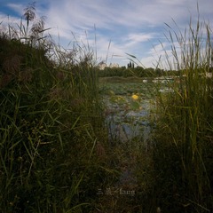 R0027870.jpg