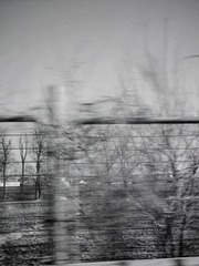 98D8168A-D060-4EEE-8F90-E3CC4EC6E630/L0/001
