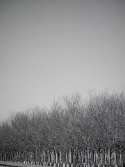 2921FEAD-FBFA-419C-AB7D-E56845253534/L0/001