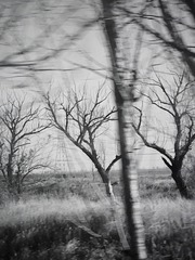 475A0697-3213-4D3B-8C00-E9C4B9CED5C5/L0/001