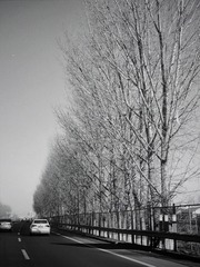 C4F9C162-0552-4499-A9E0-0DF22DF5A89D/L0/001