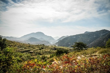 DSC_0506-1