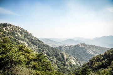 DSC_0522-1