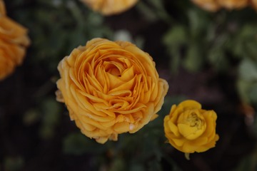 DSCF1222_