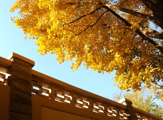 DSCF0211_