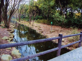 小桥 流水 苍翠