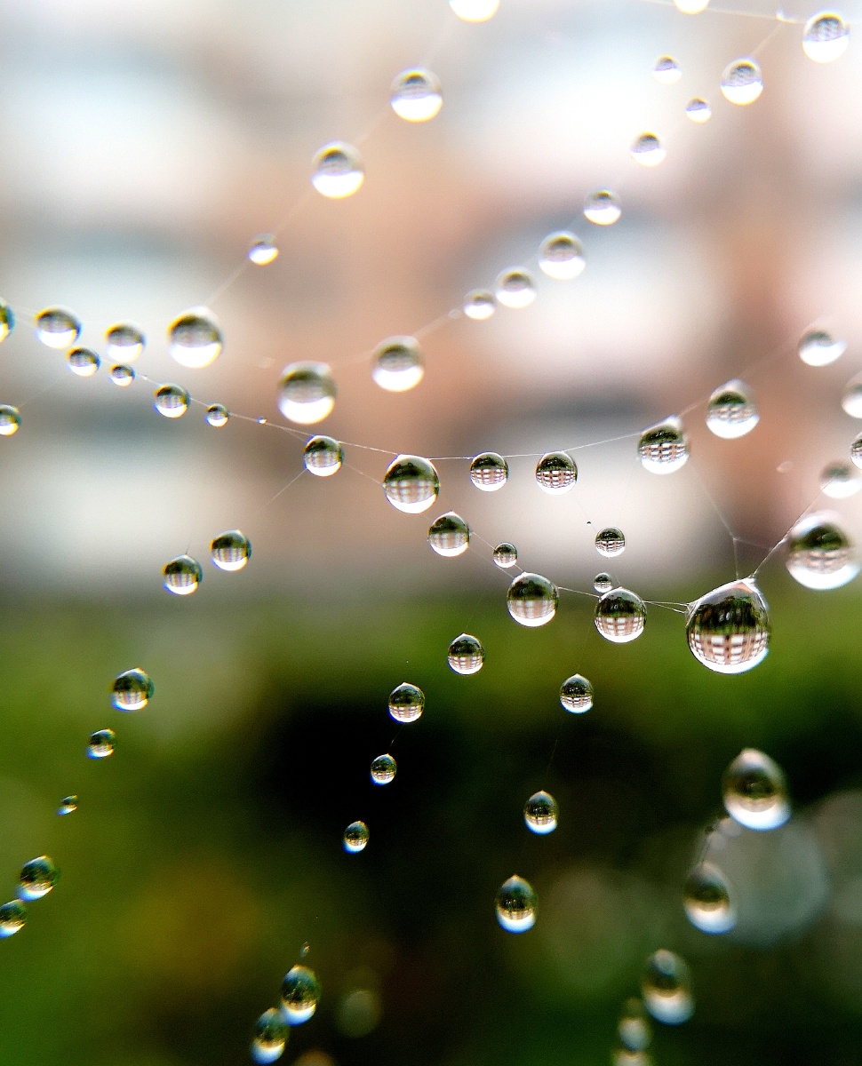 神奇的水滴世界