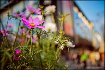DSC_7761-Edit.jpg