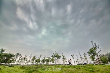 IMG_4802-编辑