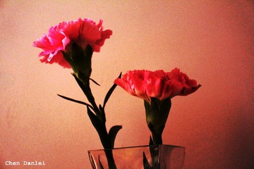 IMG_7233_