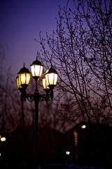 IMG_0590.jpg