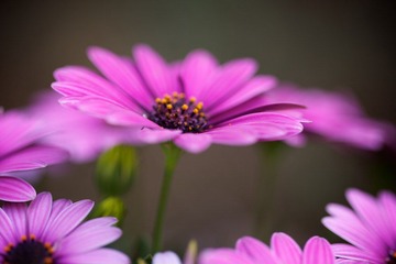 IMG_1270.jpg